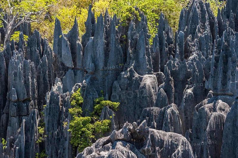 Karst landscape