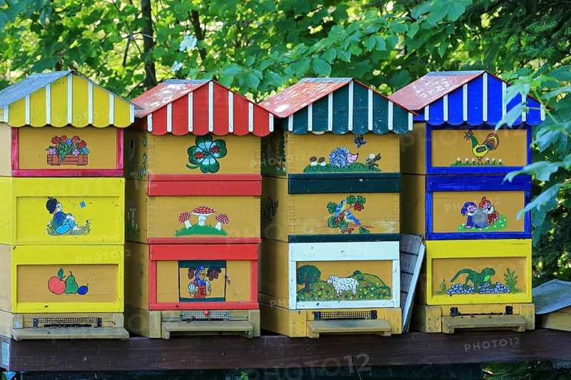 Beehives