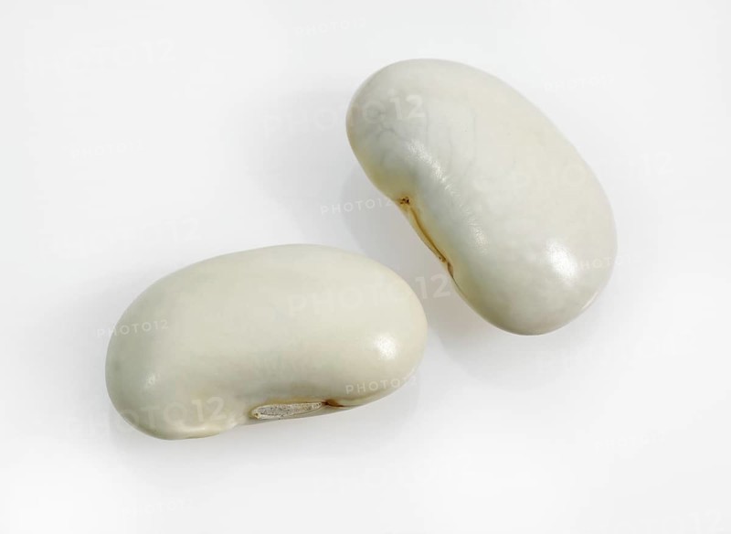Garden Bean
