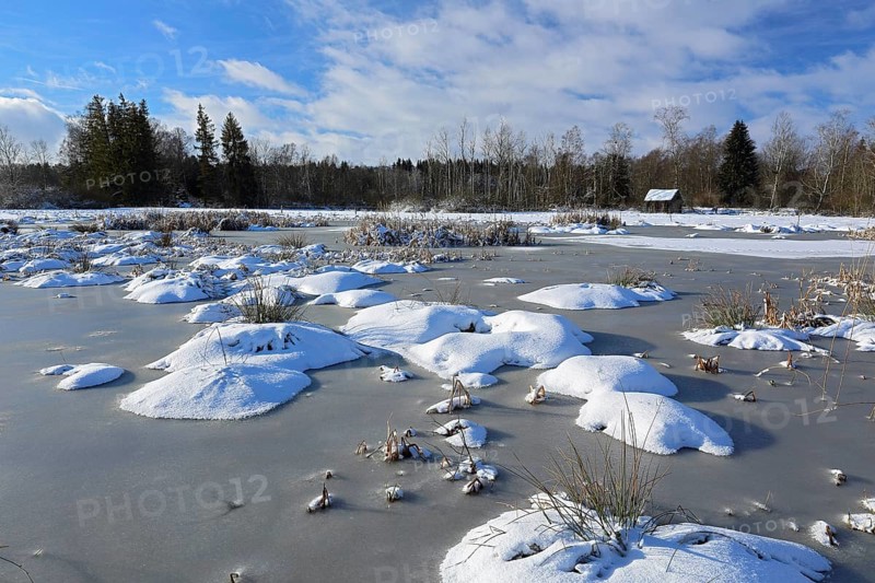 Moor lake