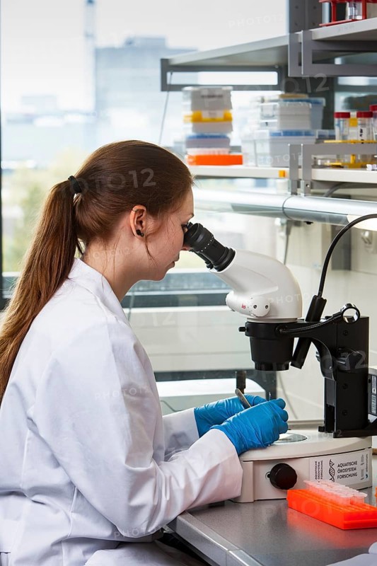 Biology student at the microscope at the Faculty of Biology in the University of Duisburg-Essen during research work