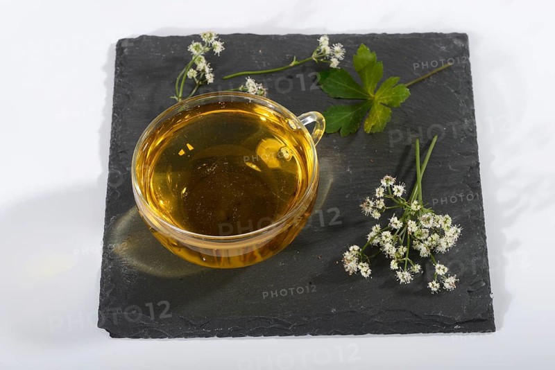 Cup of Sanikel tea