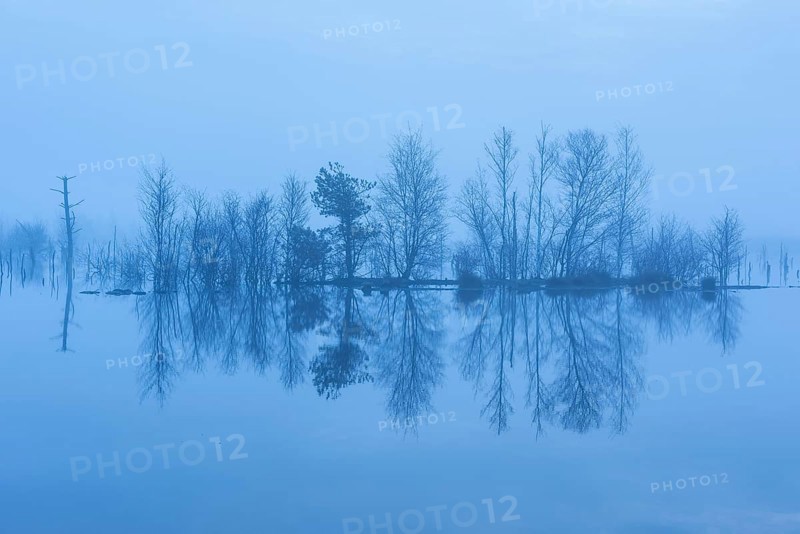 Moor at the blue hour