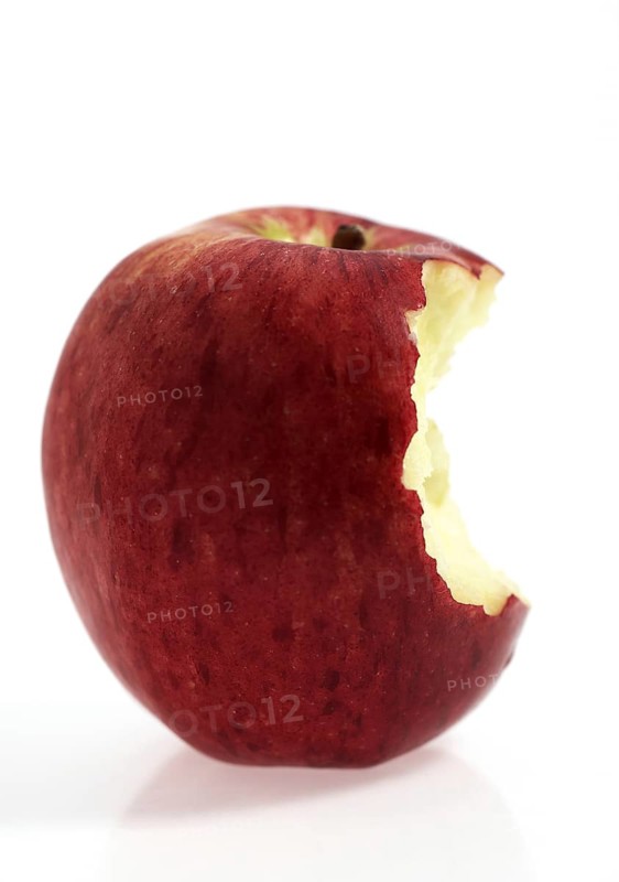Malus domestica