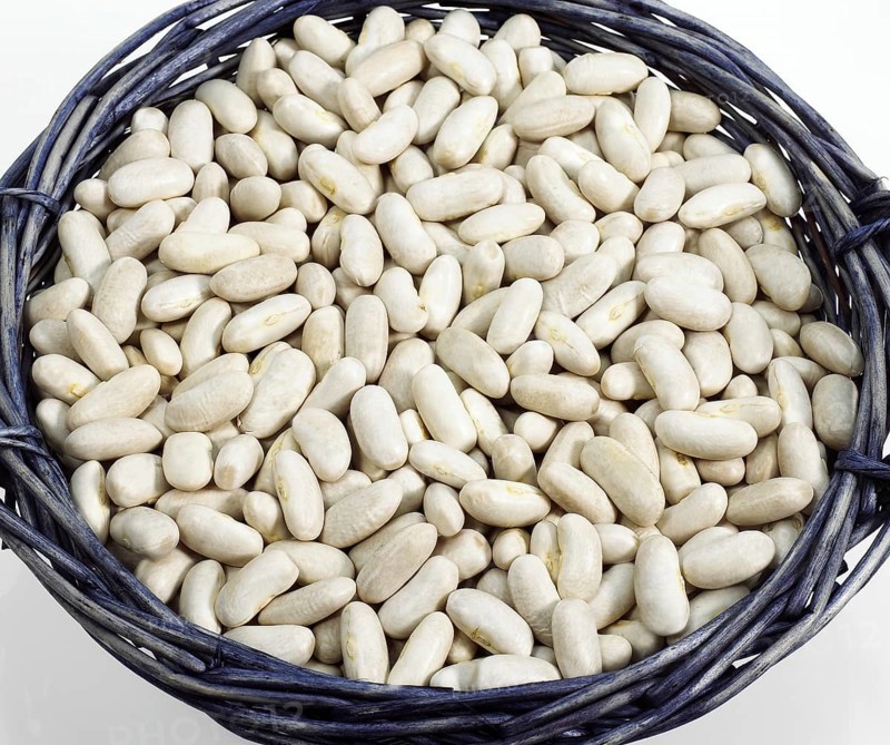 Garden Bean
