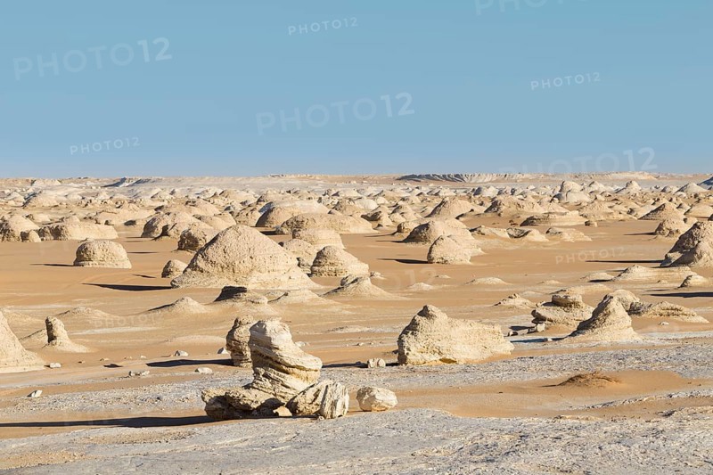 View over the white desert