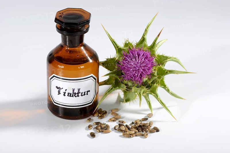 Carduus marianus tincture