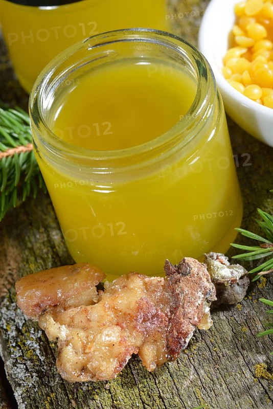 Production of spruce resin ointment