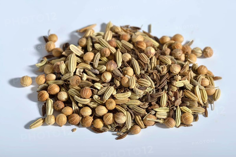 Tea of the Four Winds