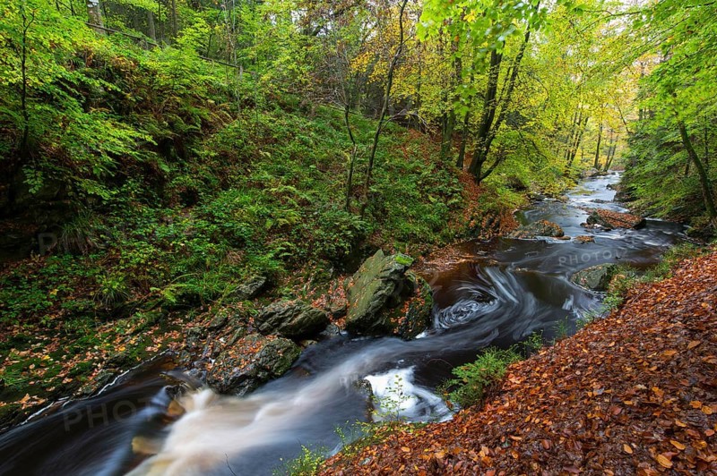 La Hoegne torrent