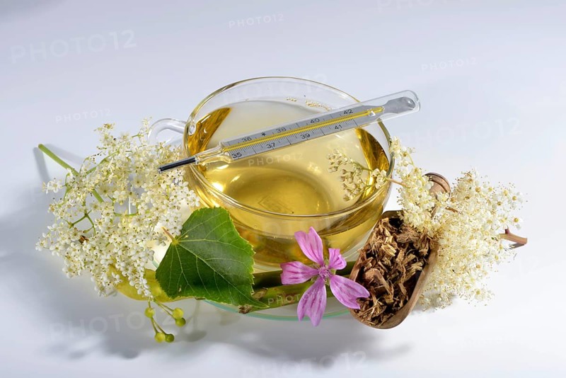 Cold and flu tea