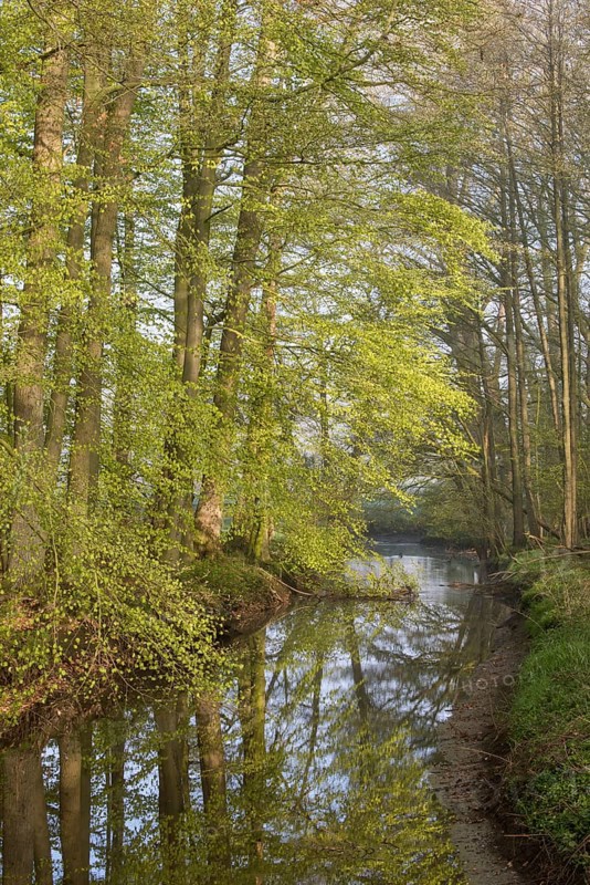 Moorbach
