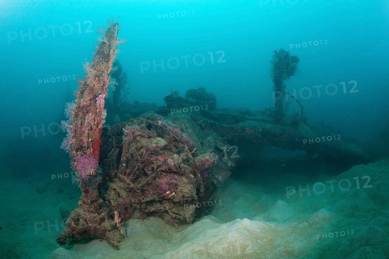Star engine of the Dauntless Dive Bomber aircraft wreck