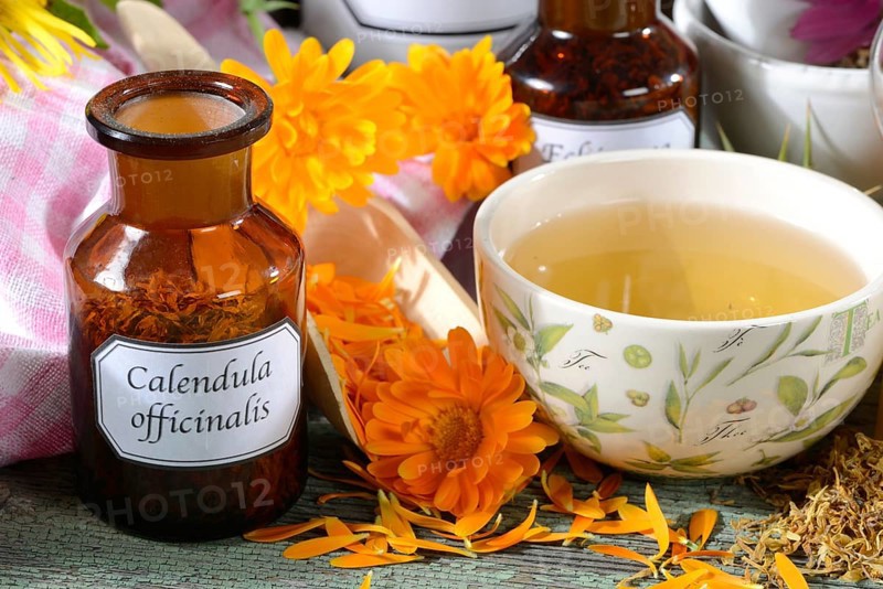 Marigold