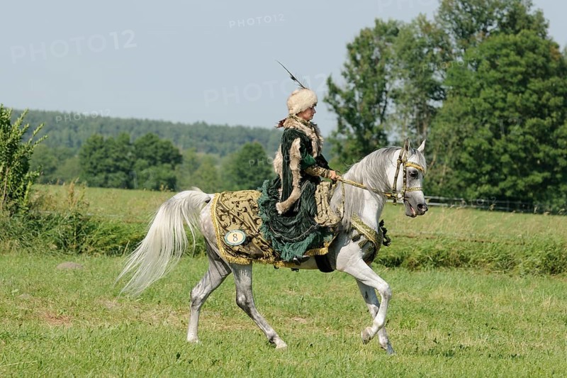 Rider with historical dress on Arabian thoroughbred