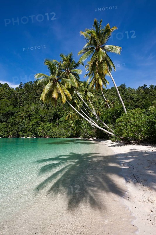 Tropical island in the Strait of