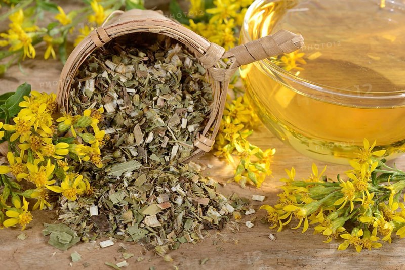 Cup goldenrod tea
