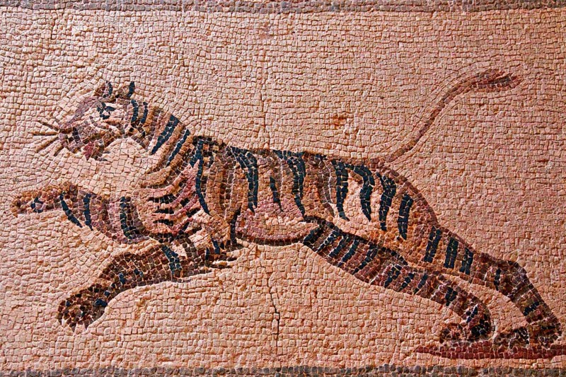 Mosaic Racing Tiger