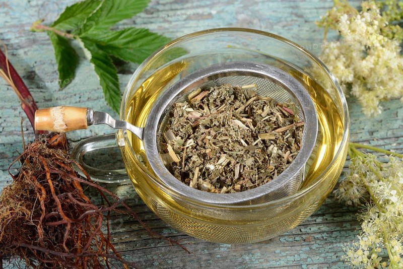 Cup meadowsweet tea