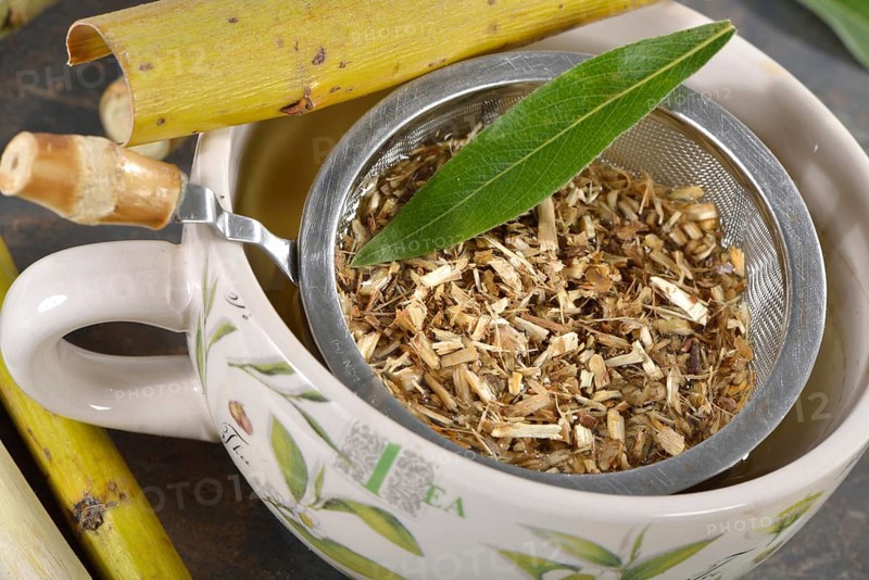 Willow bark tea
