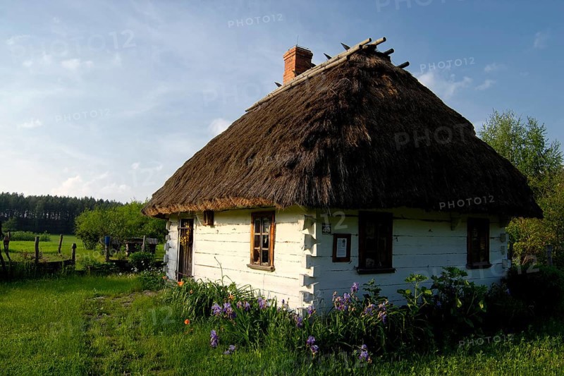 Thatched woodhouse