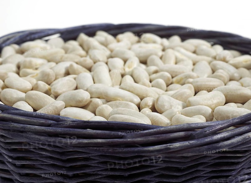 Garden Bean