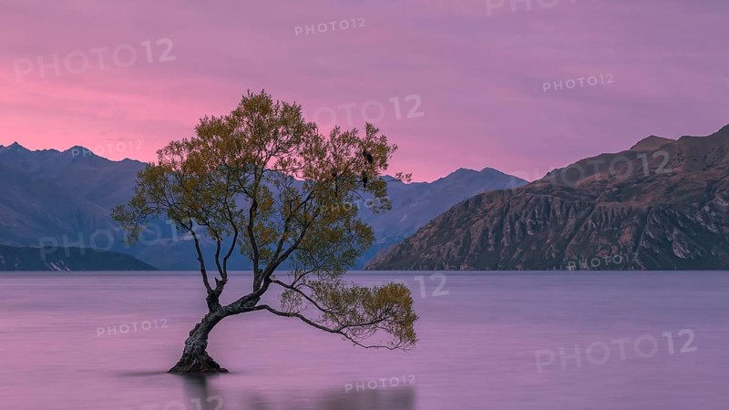 Lake Wanaka
