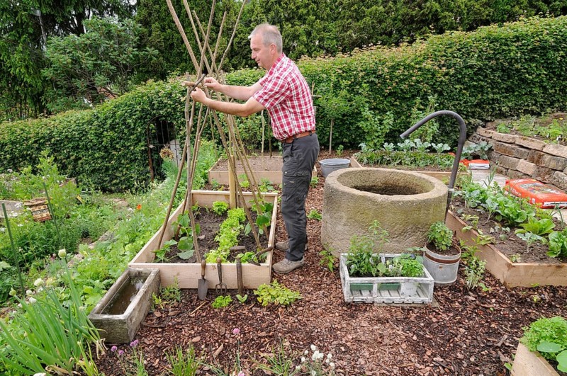 Creation of organic garden