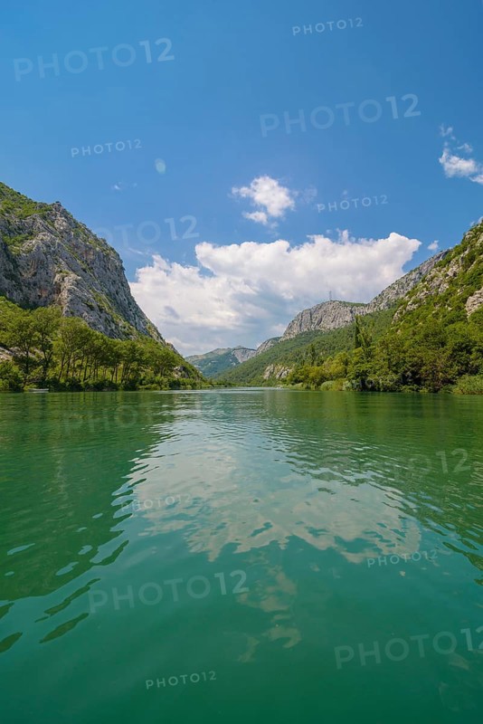 Omis