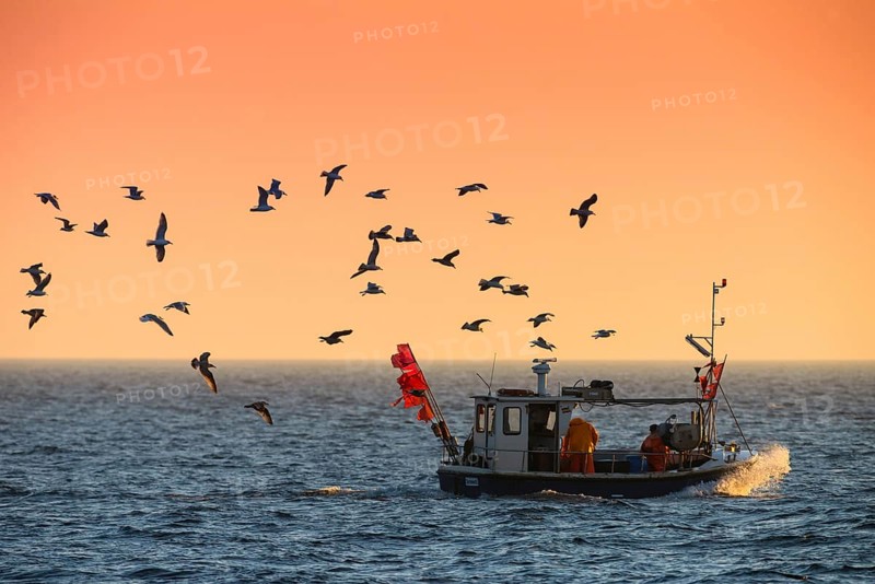 Fishing boat