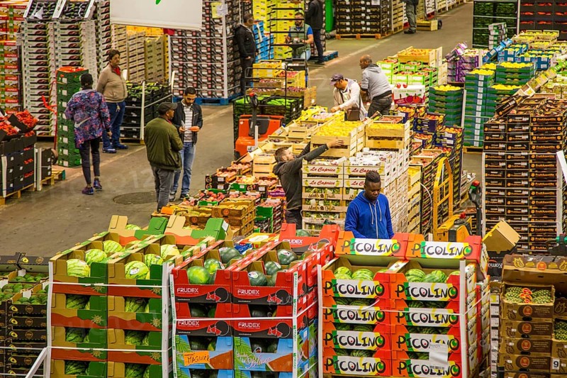 In the fruit department of the world's largest wholesale market Rungis