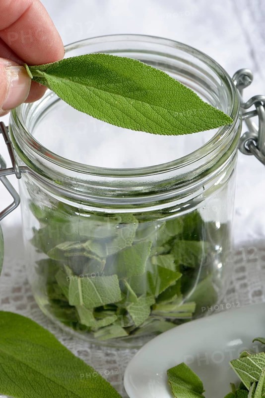 Sage milk