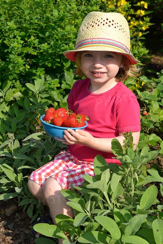 Girl eating strawberries