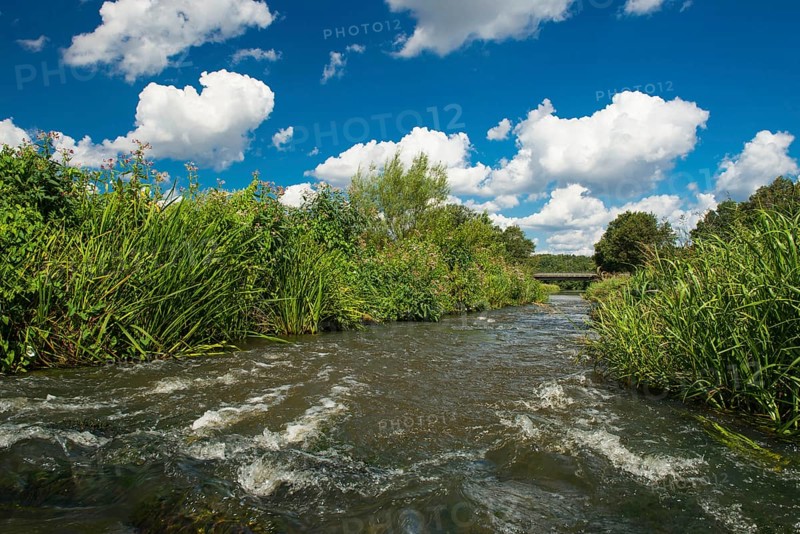 Fish ladder