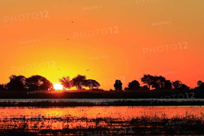 Chobe River at sunset