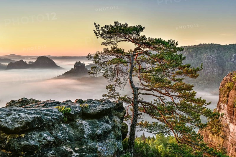 View from Kleiner Winterberg at sunrise