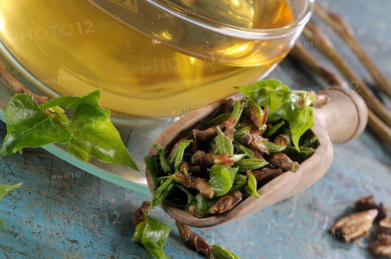 Cup black poplar bud tea