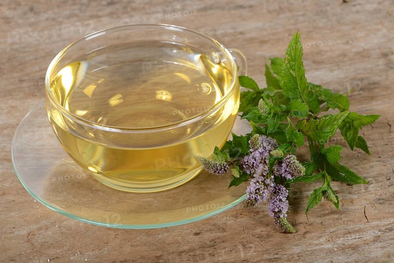 English green mint