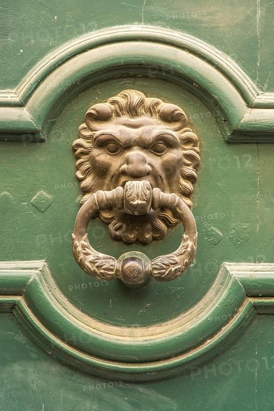 Door knocker
