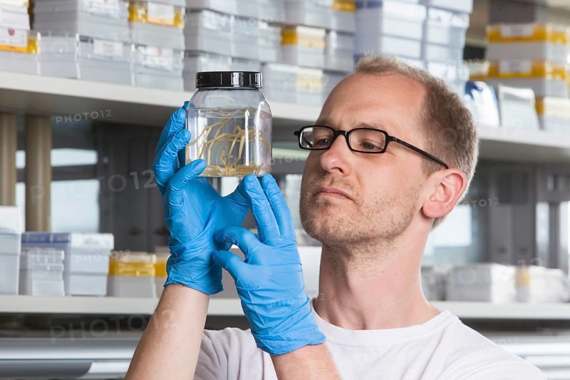 Prof. Dr. Florian Leese of the Aquatic Ecosystems Group with specimens of isopod spiders at the Faculty of Biology in the University of Duisburg-Essen