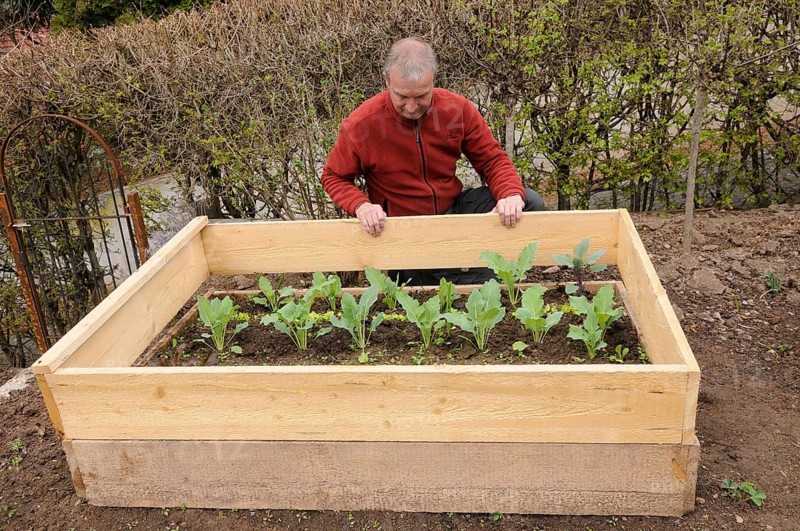 Creation of organic garden