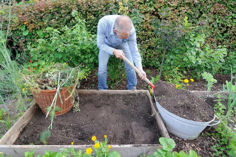 Organic garden