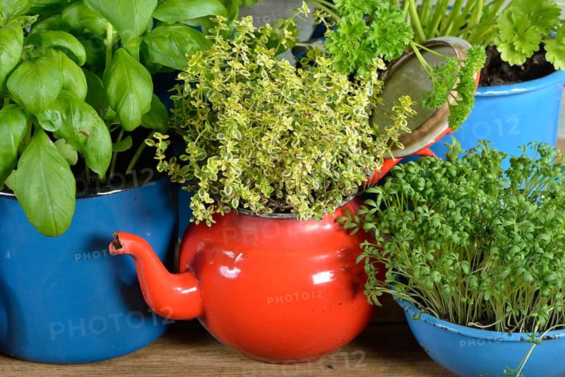 Various herbs in old bowls and cups