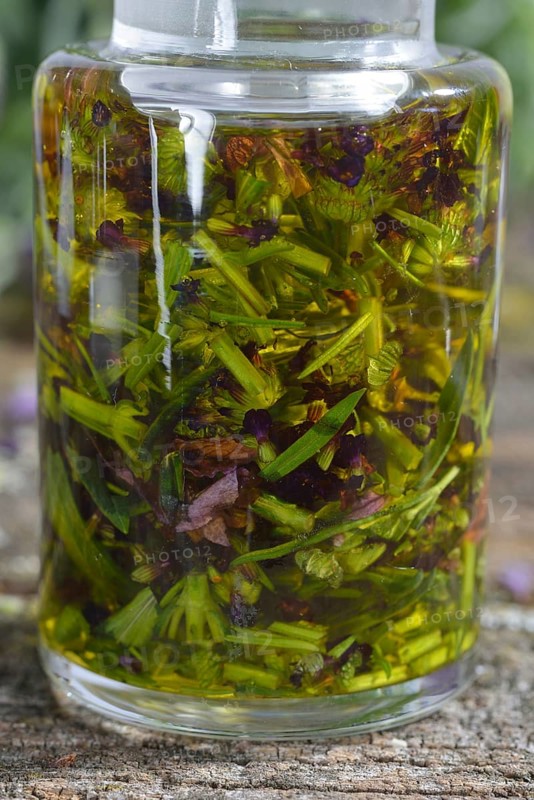 Lavender oil