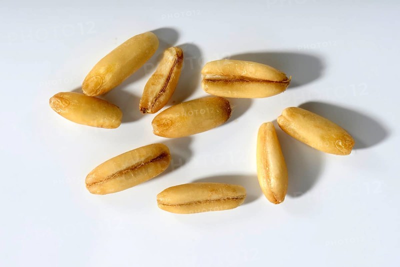 Oats