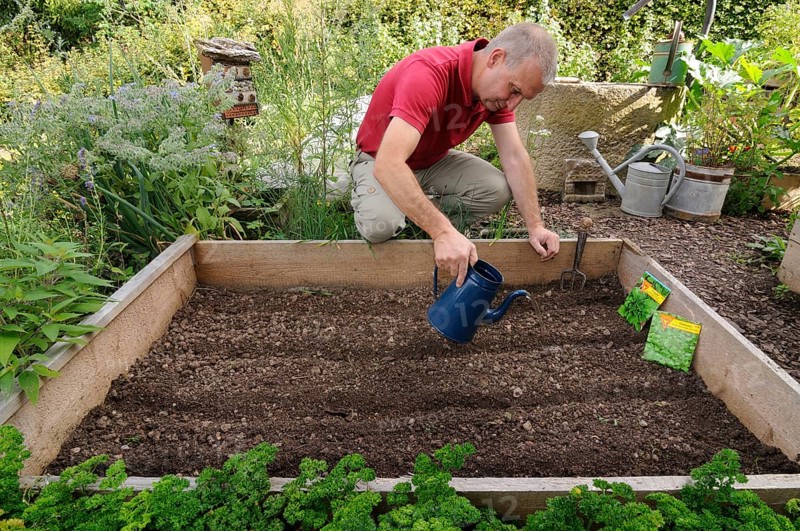 Organic garden
