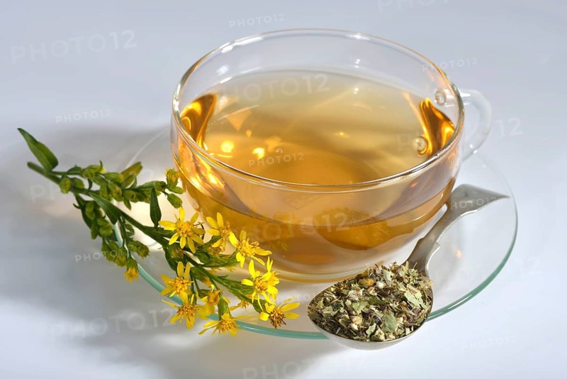 Cup goldenrod tea