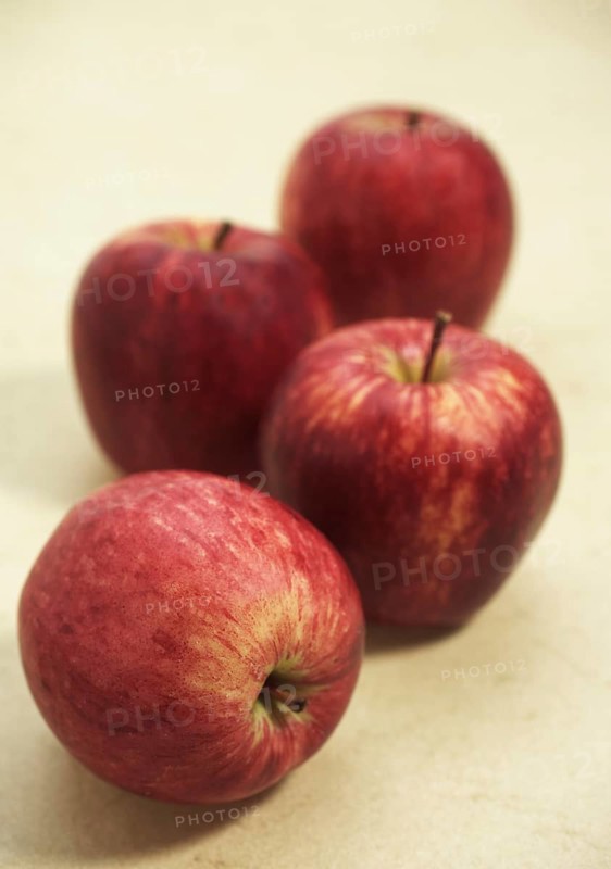 Malus domestica