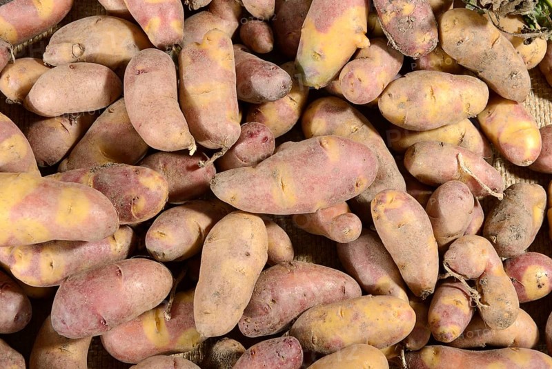 Potatoes
