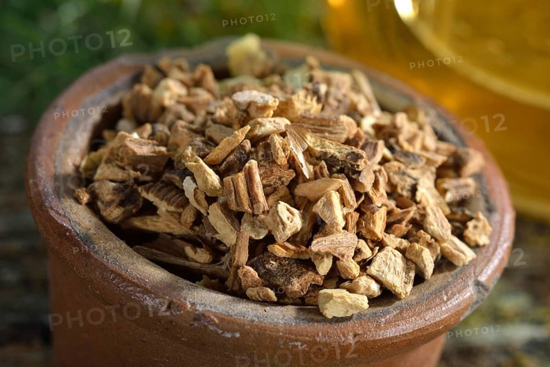 Gentian root